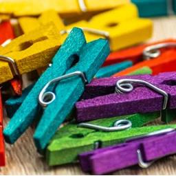 Wooden Clips